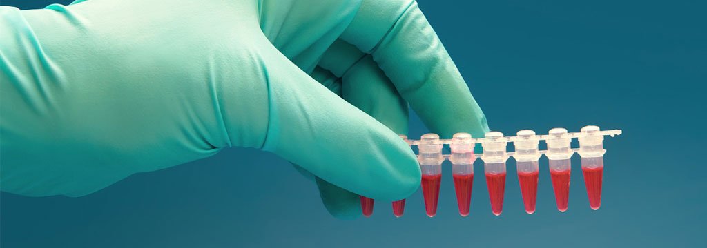 Entendendo o coronavírus Entendendo o coronavírus