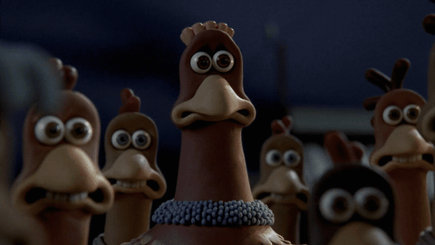 Humanizar a Organização